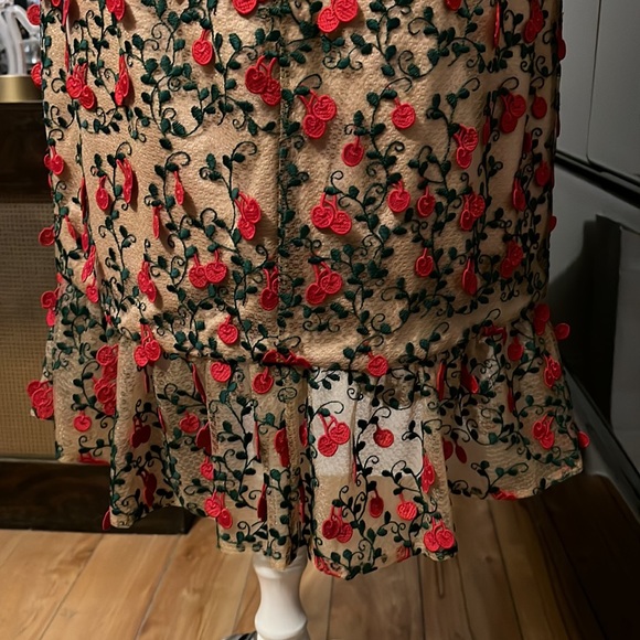 Dress the population 3D Cherry dress size L.  Dress is like a tan w/ green & red - Picture 10 of 10